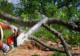 Best Mulching Services  in Lawrenceville, NJ