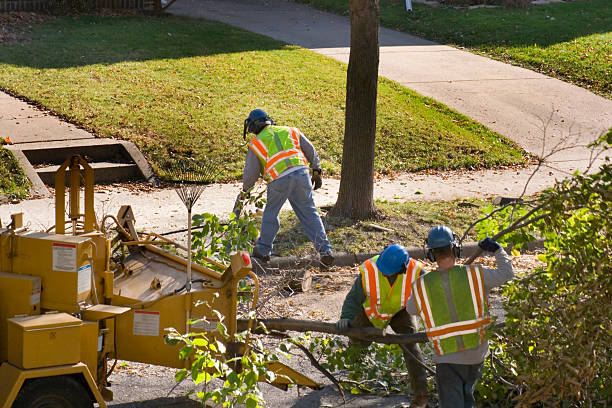 Best Weed Control  in Lawrenceville, NJ