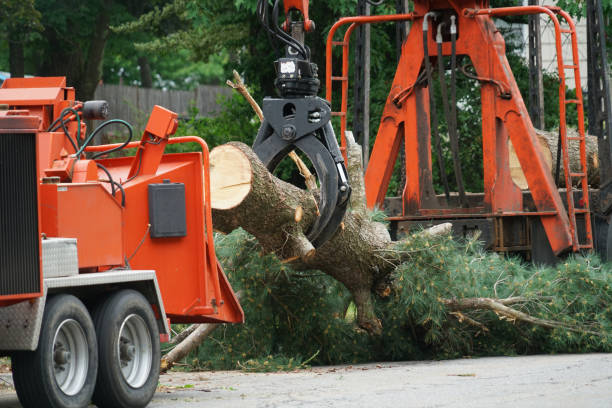 Best Utility Line Clearance  in Lawrenceville, NJ