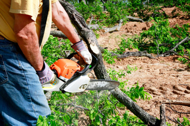 Best Soil Testing and Treatment  in Lawrenceville, NJ